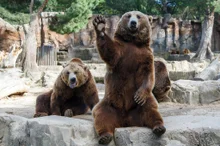 Parque Zoológico