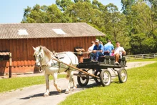 Passeio Carroça