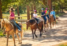 Passeio de Cavalo