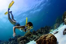 Snorkeling
