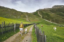 Tour Rural
